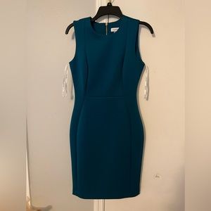Blue/Green Calvin Klein Dress